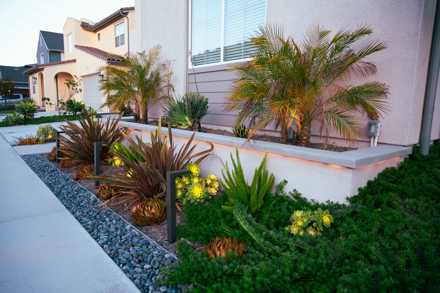 Illuminated front-yard planting with palms in Broussard by Abshire Brothers Lawn & Landscape
